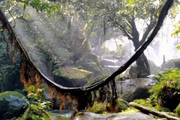 Susung Waterfall & Kampung Sting Trekking