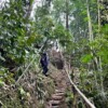 Hike and Camping at Sunrise View Village Stay-Kampung Sapit - Image 18