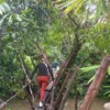 Susung Waterfall & Kampung Sting Trekking - Image 6