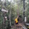 Mount Santubong Hike, Sarawak - Image 10