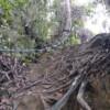 Mount Santubong Hike, Sarawak - Image 4