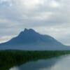 Mount Santubong Hike, Sarawak - Image 9