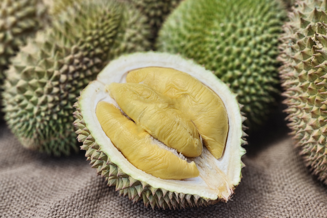 Durian: One Fruit, Endless Possibilities!