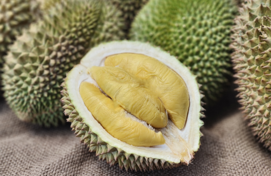 Durian: One Fruit, Endless Possibilities!