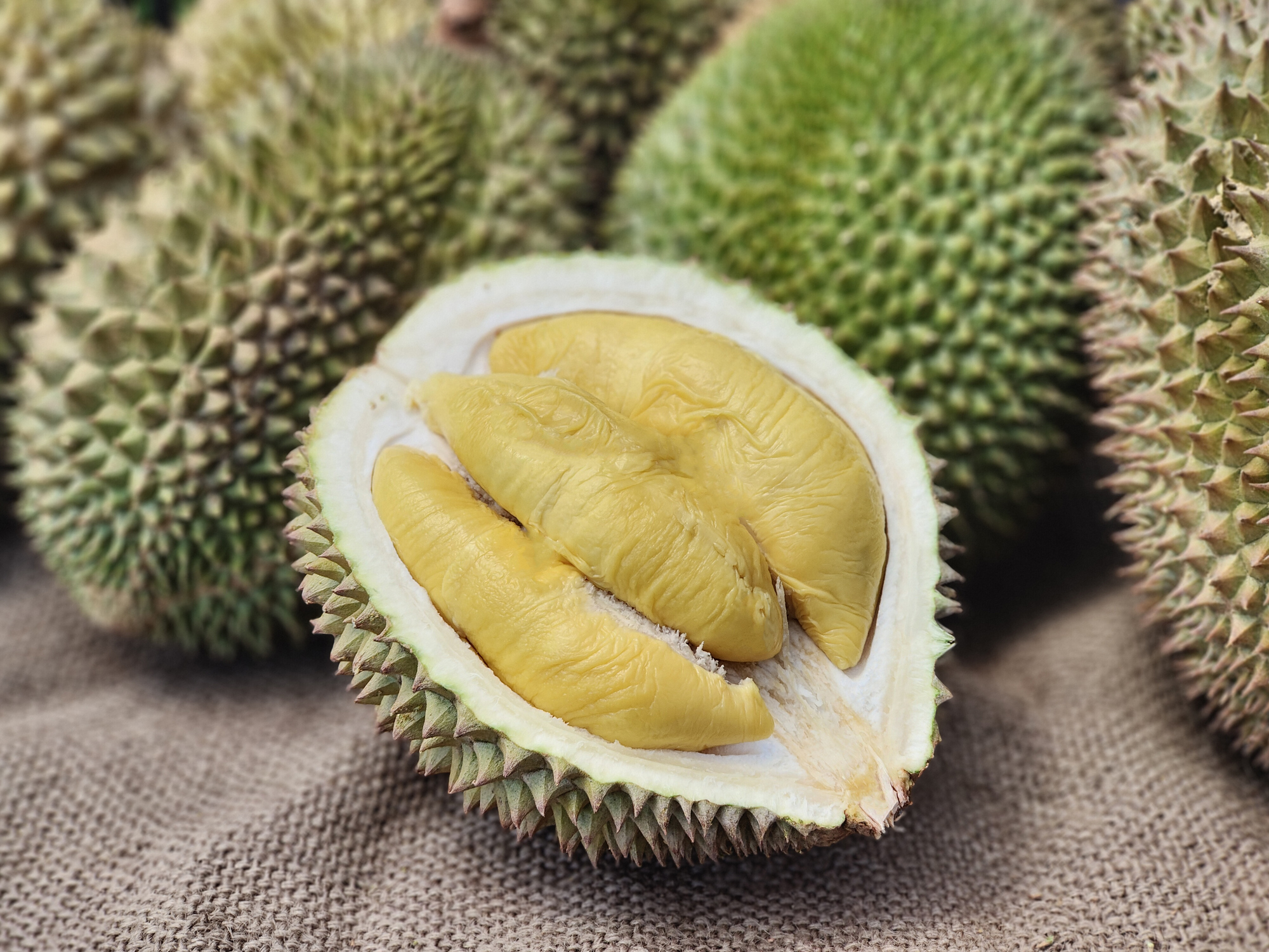 Durian: One Fruit, Endless Possibilities!