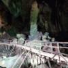 Gua Sireh Exploration & Trekking Experience - Image 7